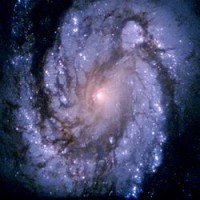 /album/fotogaleria/ie-jpg1/