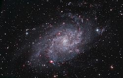 M33
