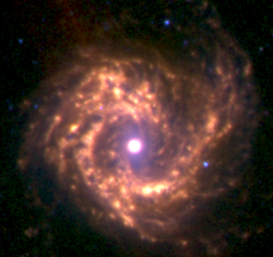 M61
