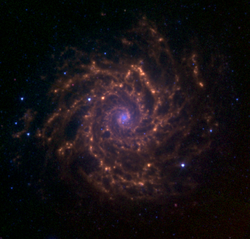 M74