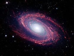 M81