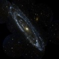 M31