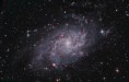 M33