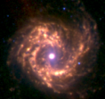 M61