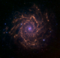 M74