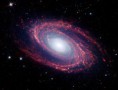 M81