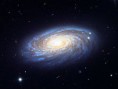 M88