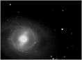 M95